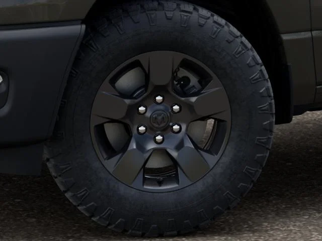 New 2026 Tank Exterior Paint RAM  image 4