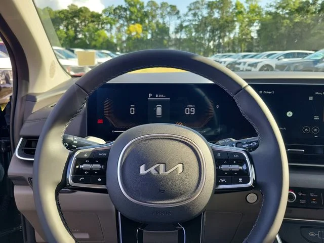 New 2026 Panthera Metal Kia EX image 13
