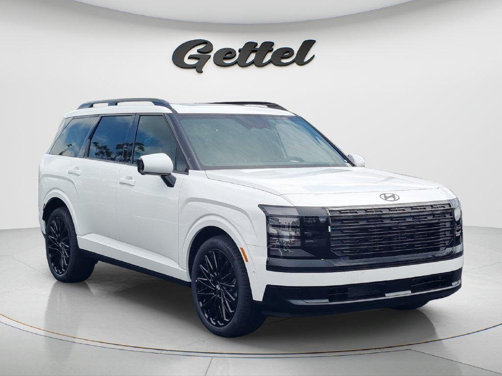 New 2027 White Hyundai Calligraphy Black Ink image 3