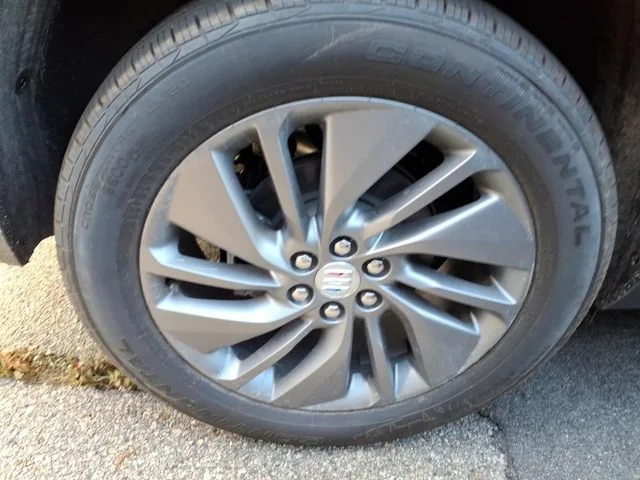 Photo 5