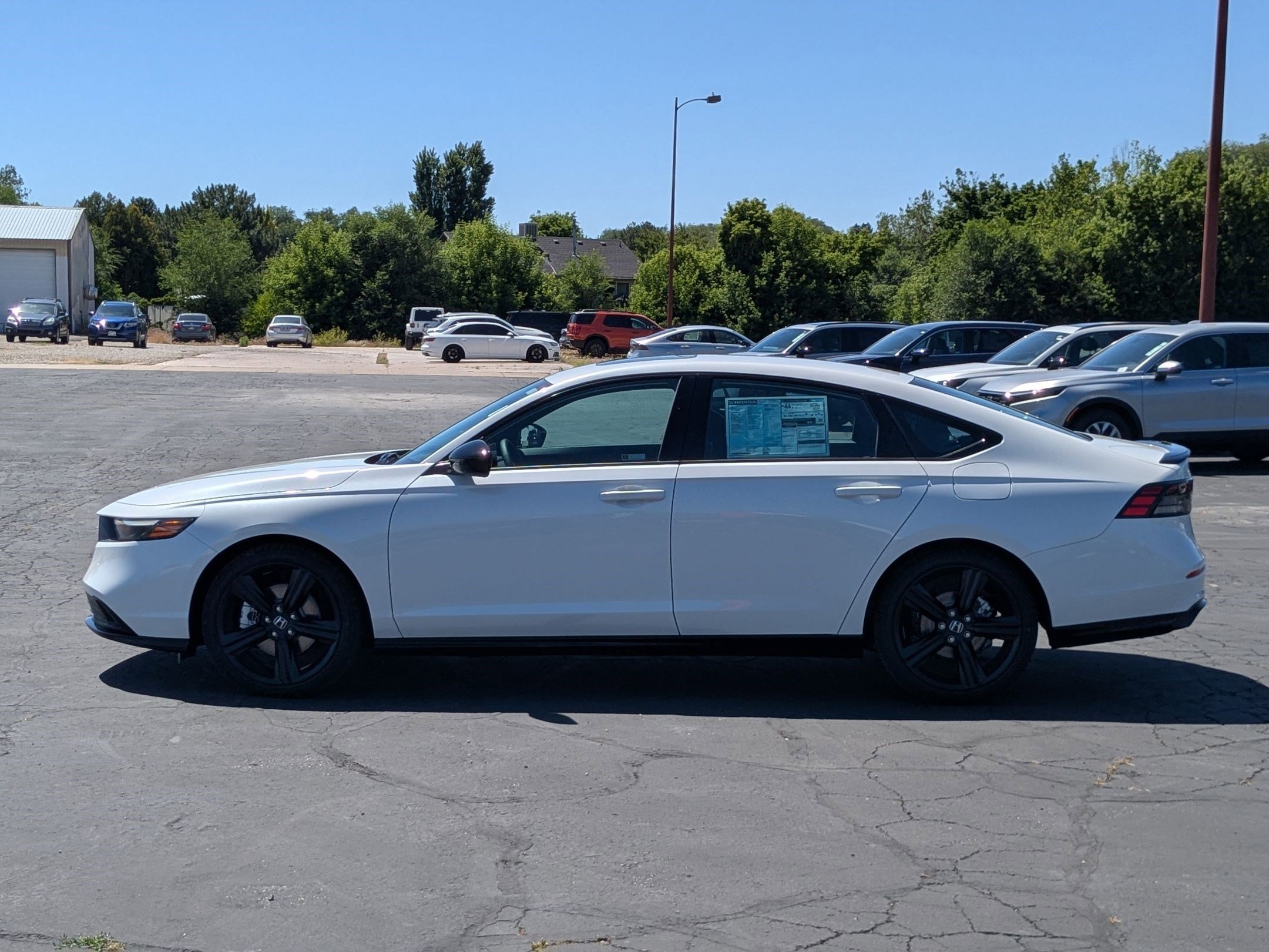 New 2026 Platinum White Pearl Honda Sport-L image 7