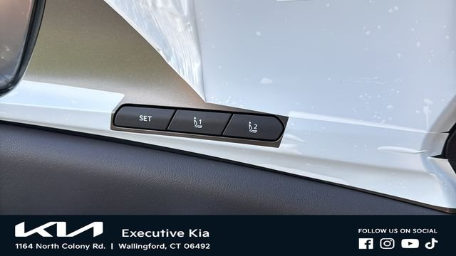New 2026 Panthera Metal Kia SX Prestige image 20