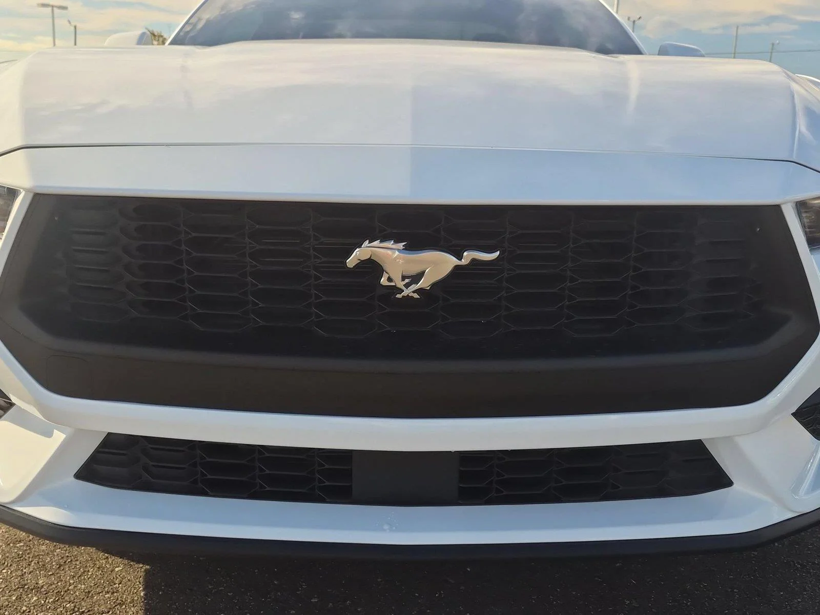 Used 2025 Oxford White Ford EcoBoost image 13