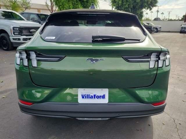 New 2026 Eruption Green Metallic Ford Premium image 22
