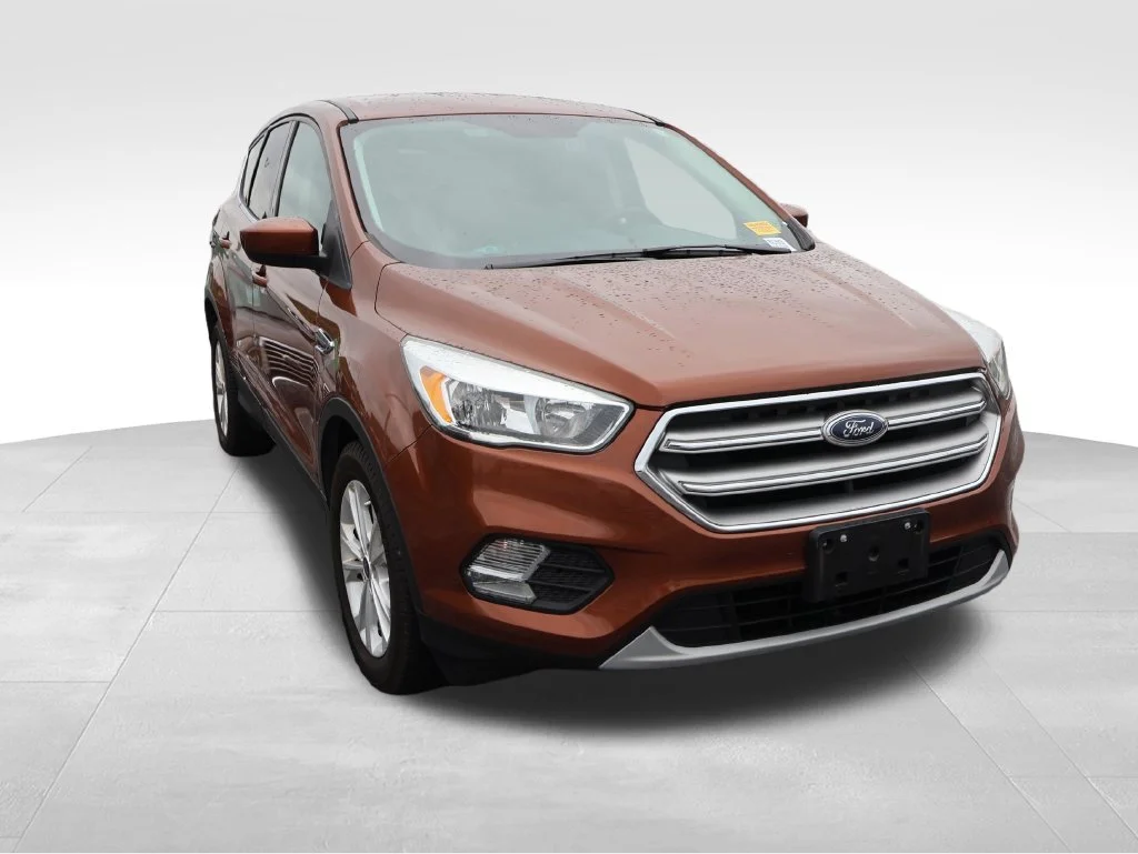 Used 2017 Canyon Ridge Metallic Ford SE image 10