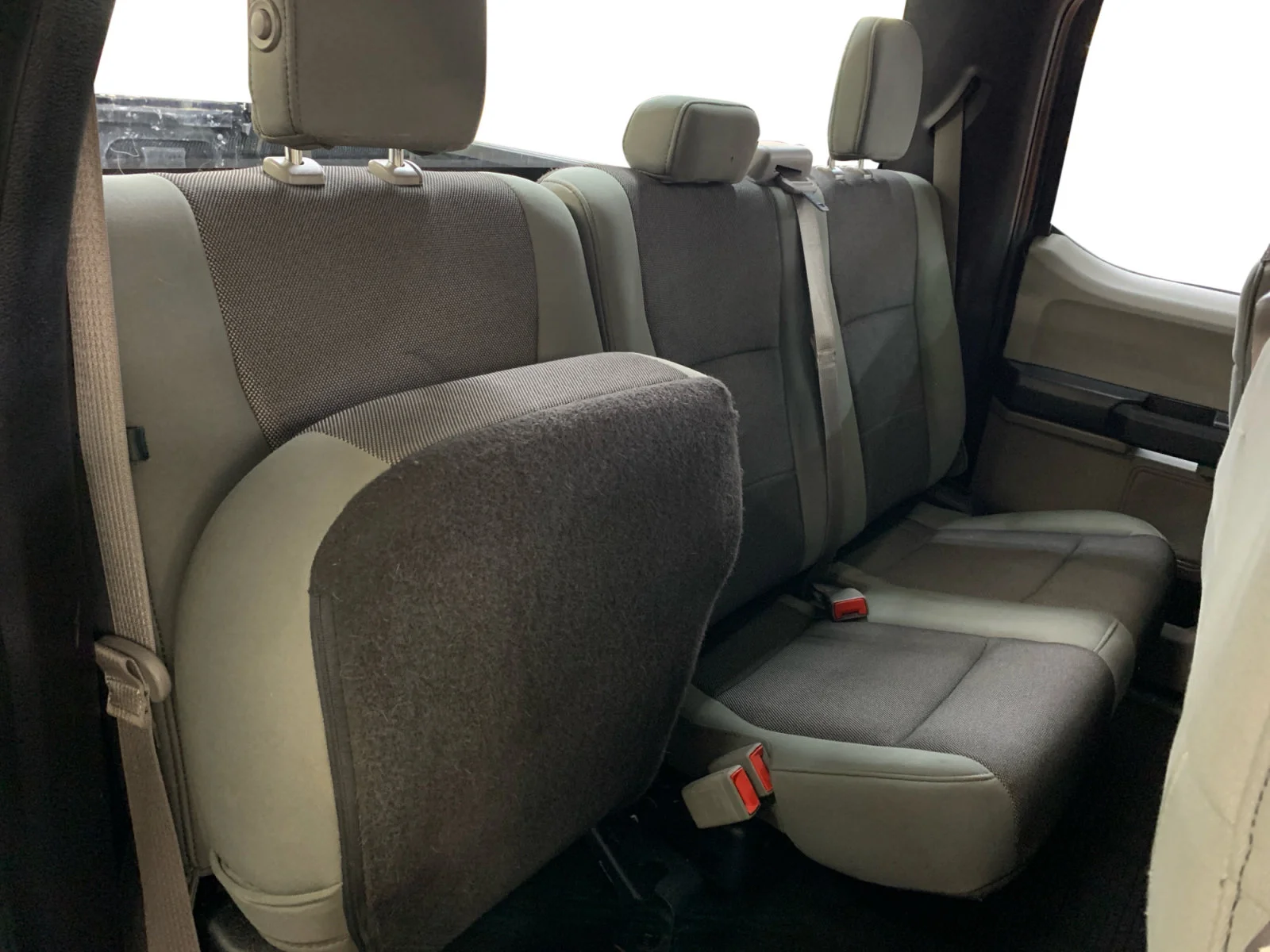 Used 2019 Agate Black Ford XL image 12