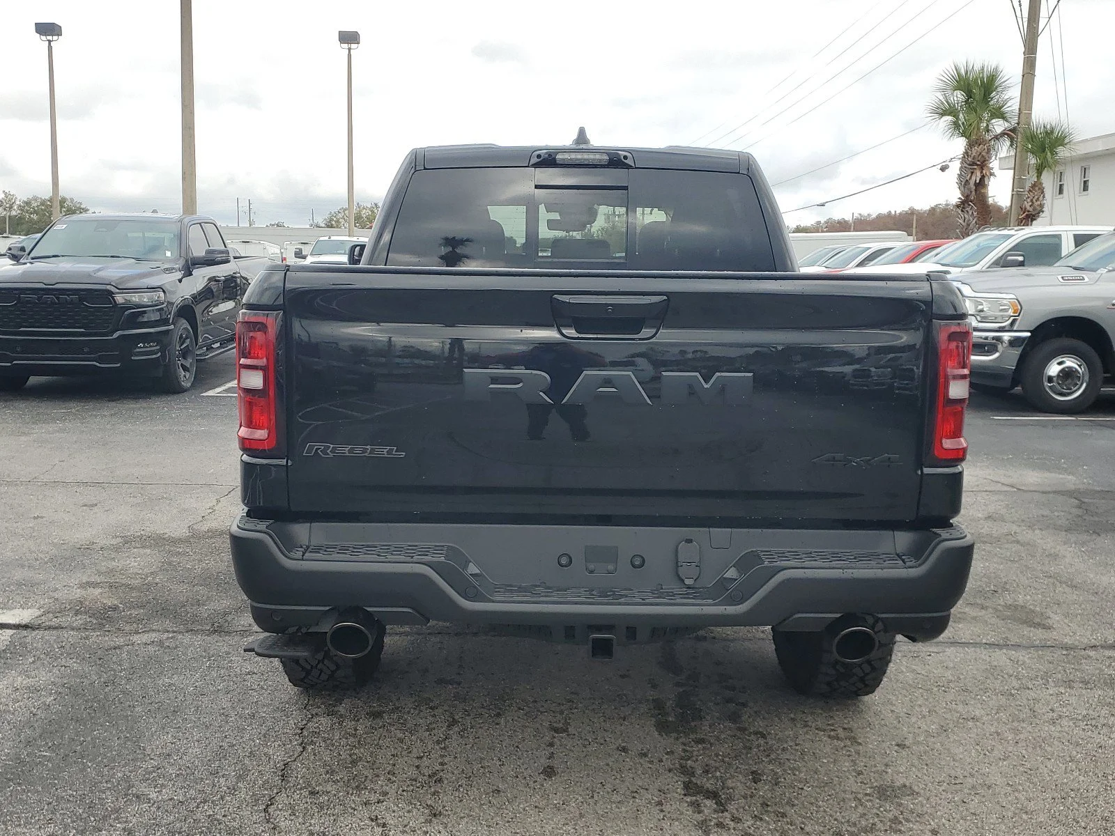 New 2025 Black Ram Rebel image 5