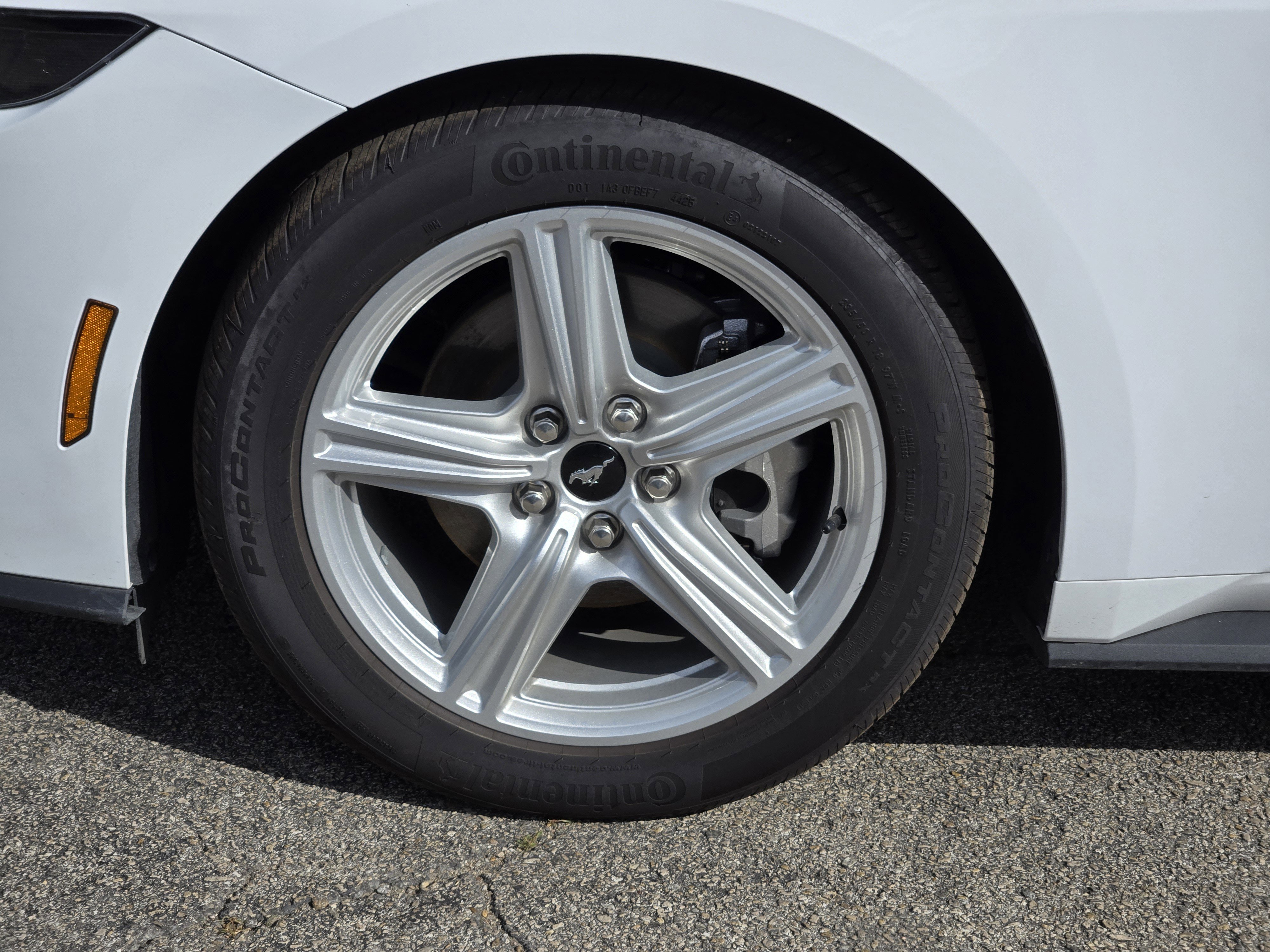 New 2026 Oxford White Ford EcoBoost Fastback image 7