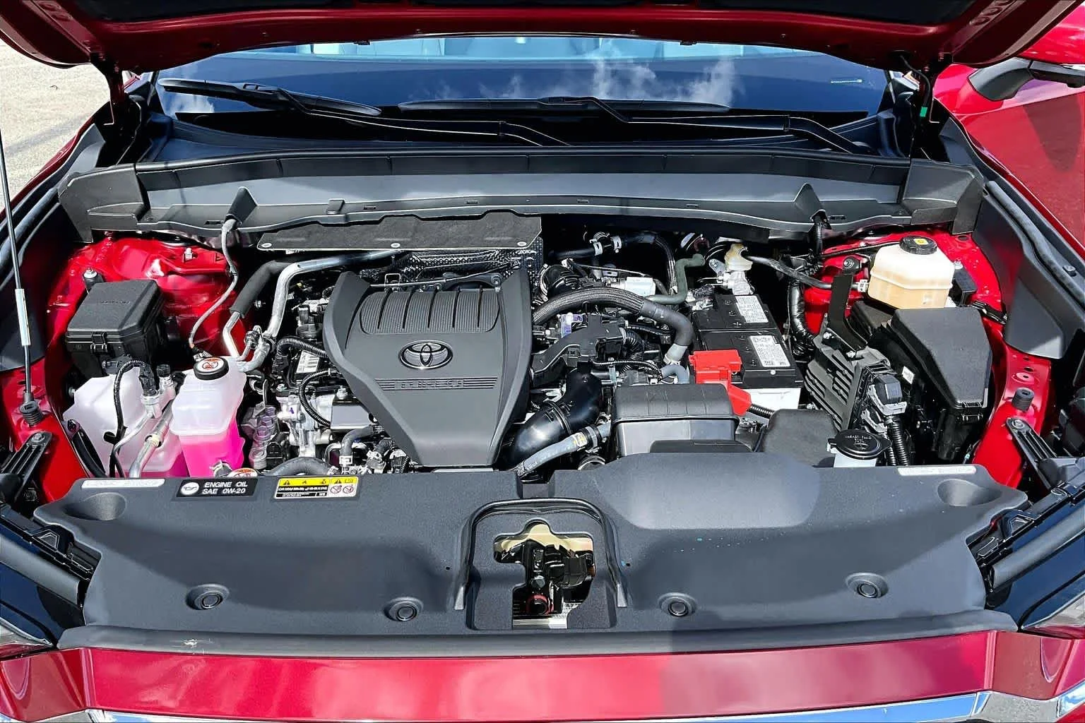 New 2026 Ruby Flare Pearl Toyota Platinum image 16