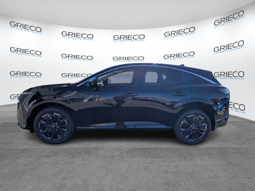 New 2026 Super Black Nissan Platinum image 4