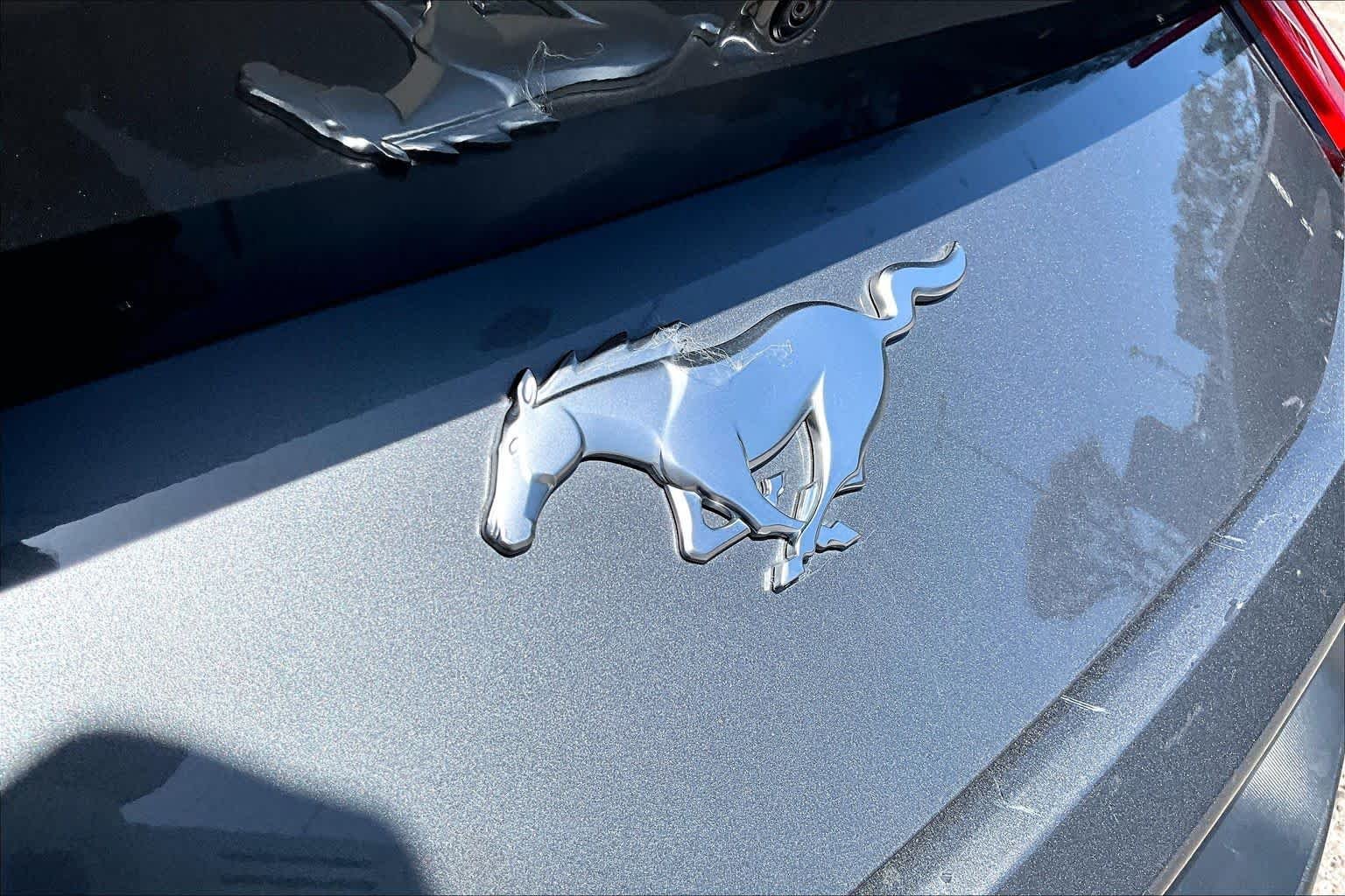 Certified Used 2024 Gray Ford EcoBoost image 31
