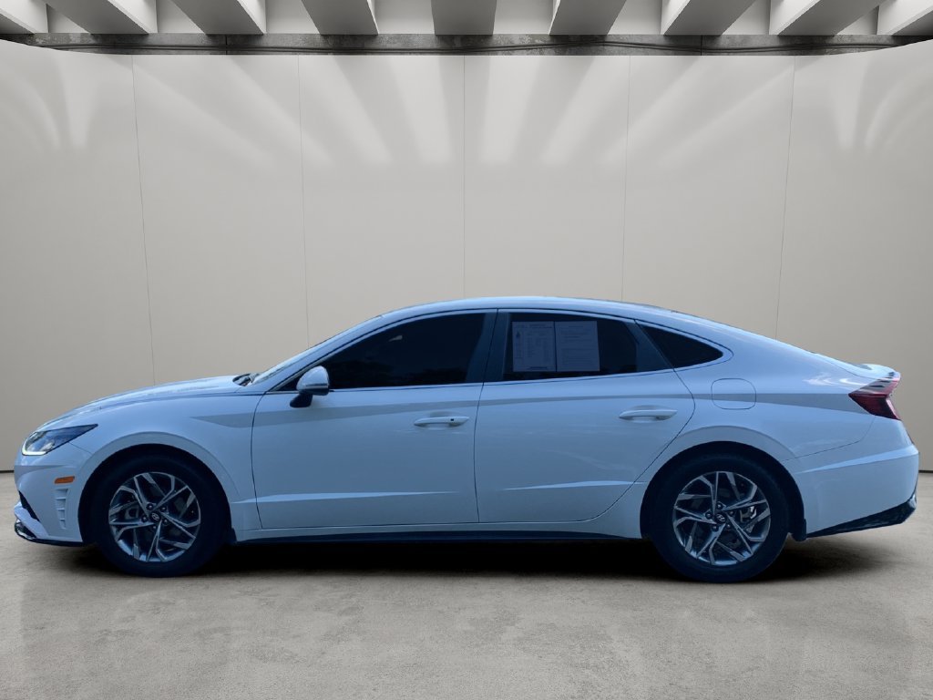 Used 2023 Serenity White Hyundai SEL image 2