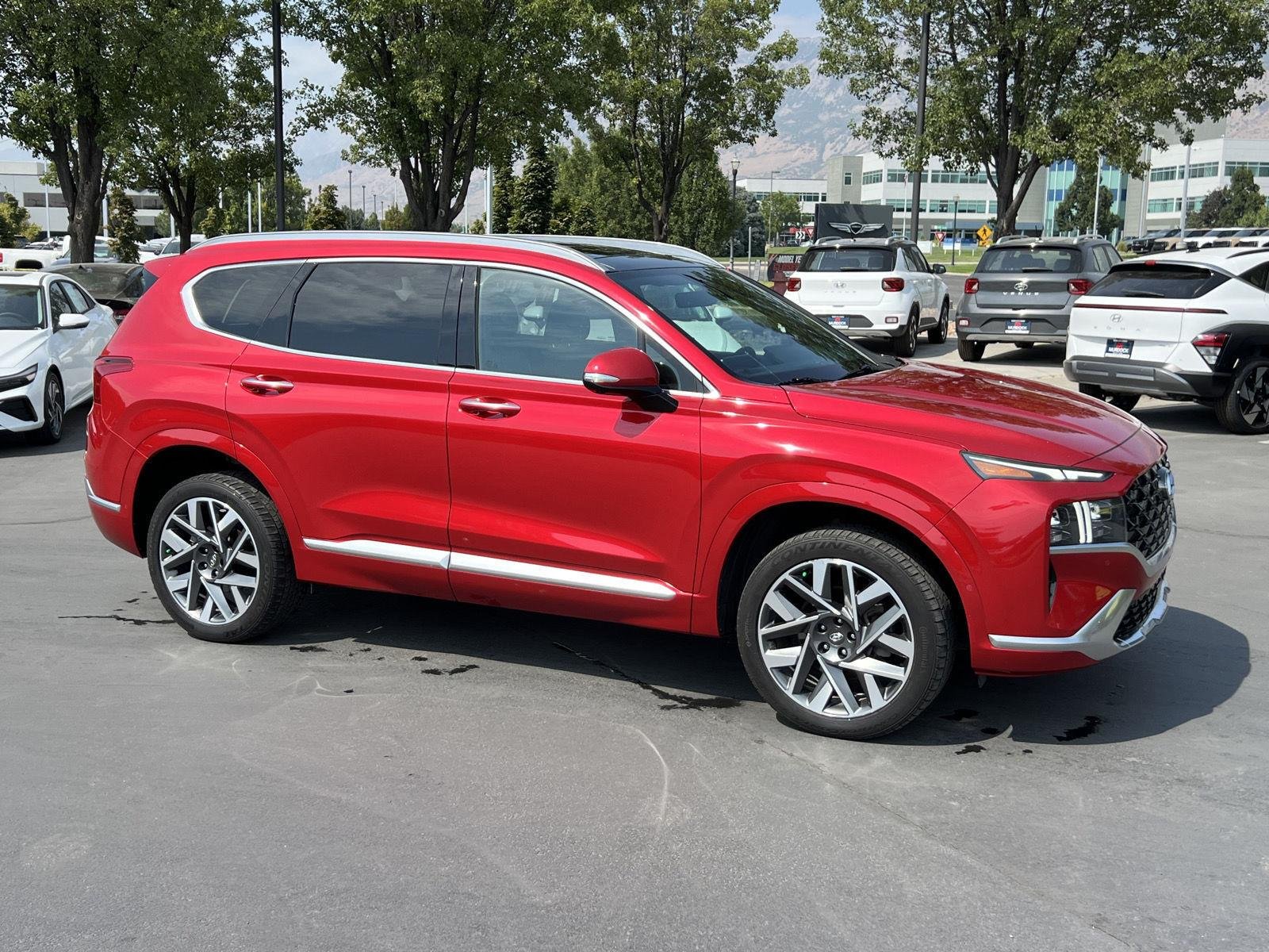 Used 2022 Calypso Red Hyundai Calligraphy image 13