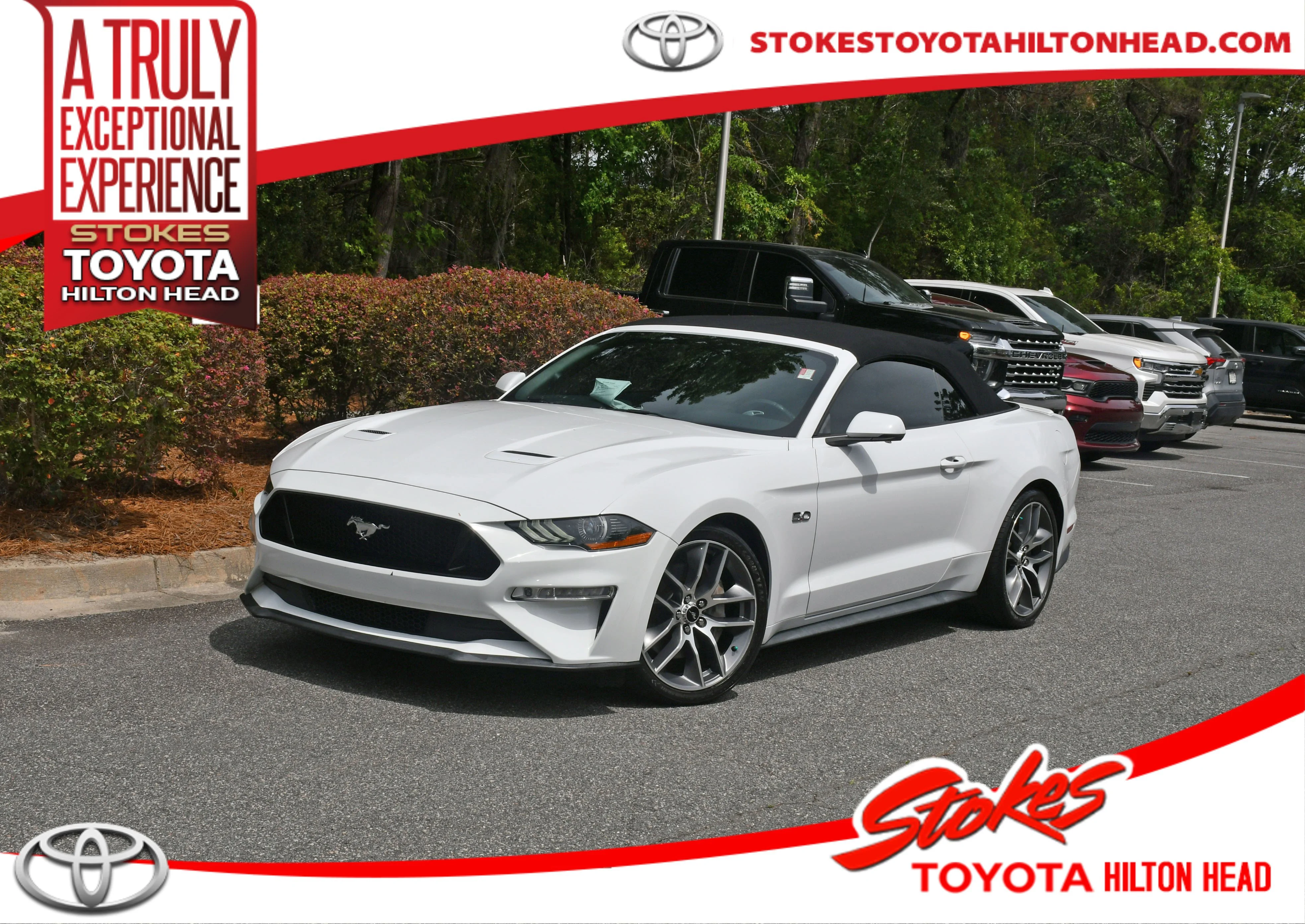 2019 Ford Mustang GT Convertible Premium's photo