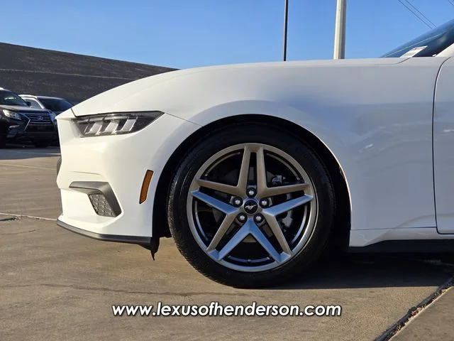 Used 2025 White Ford EcoBoost Premium image 9