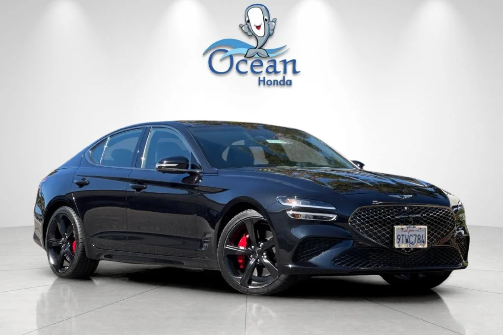 Used 2026 Vik Black Genesis 3.3T Sport Prestige image 2