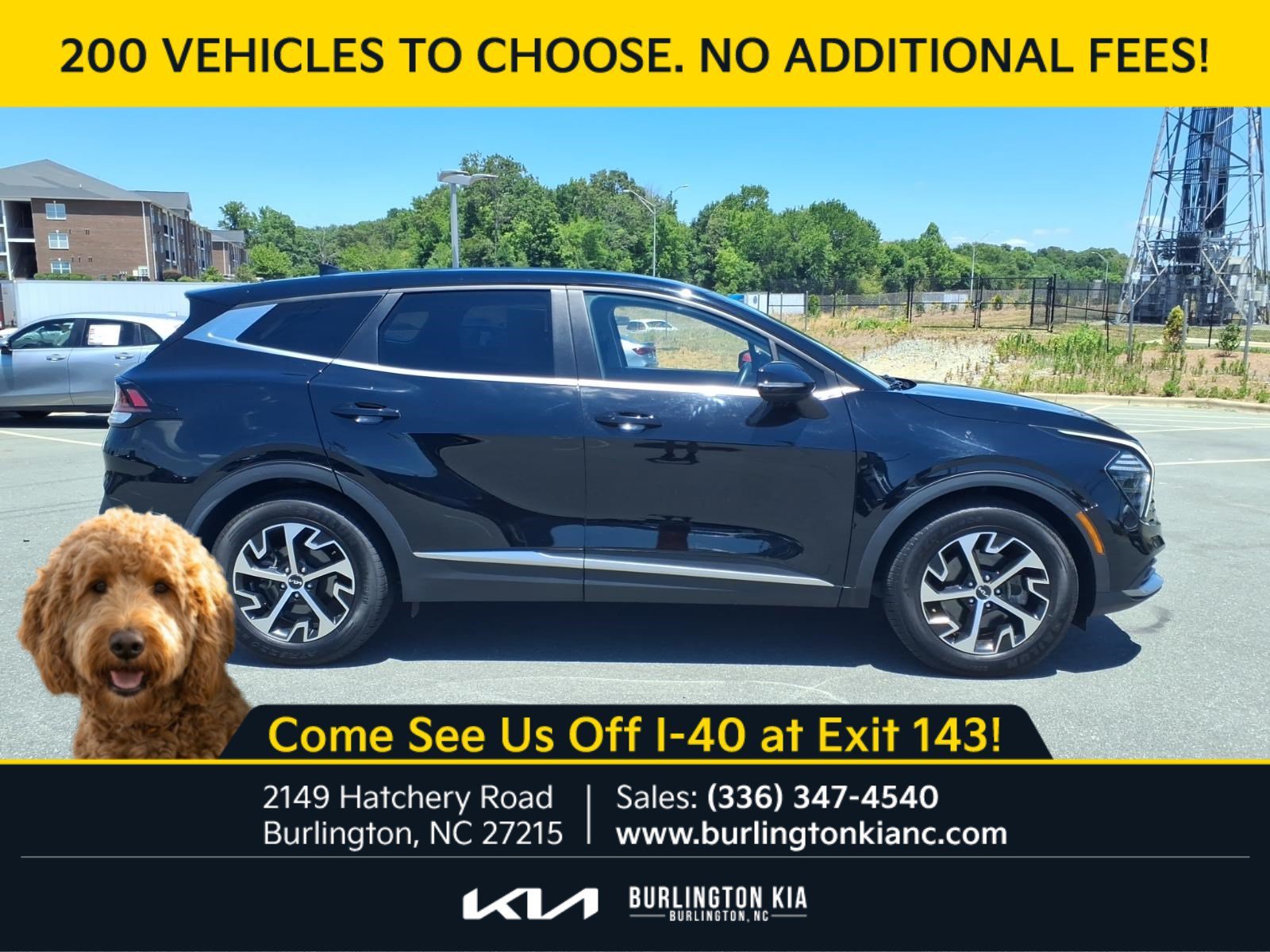 Certified Used 2024 Ebony Black Kia EX image 26