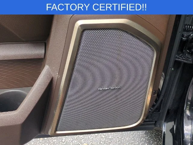 Used 2025 Black Ram Limited image 15