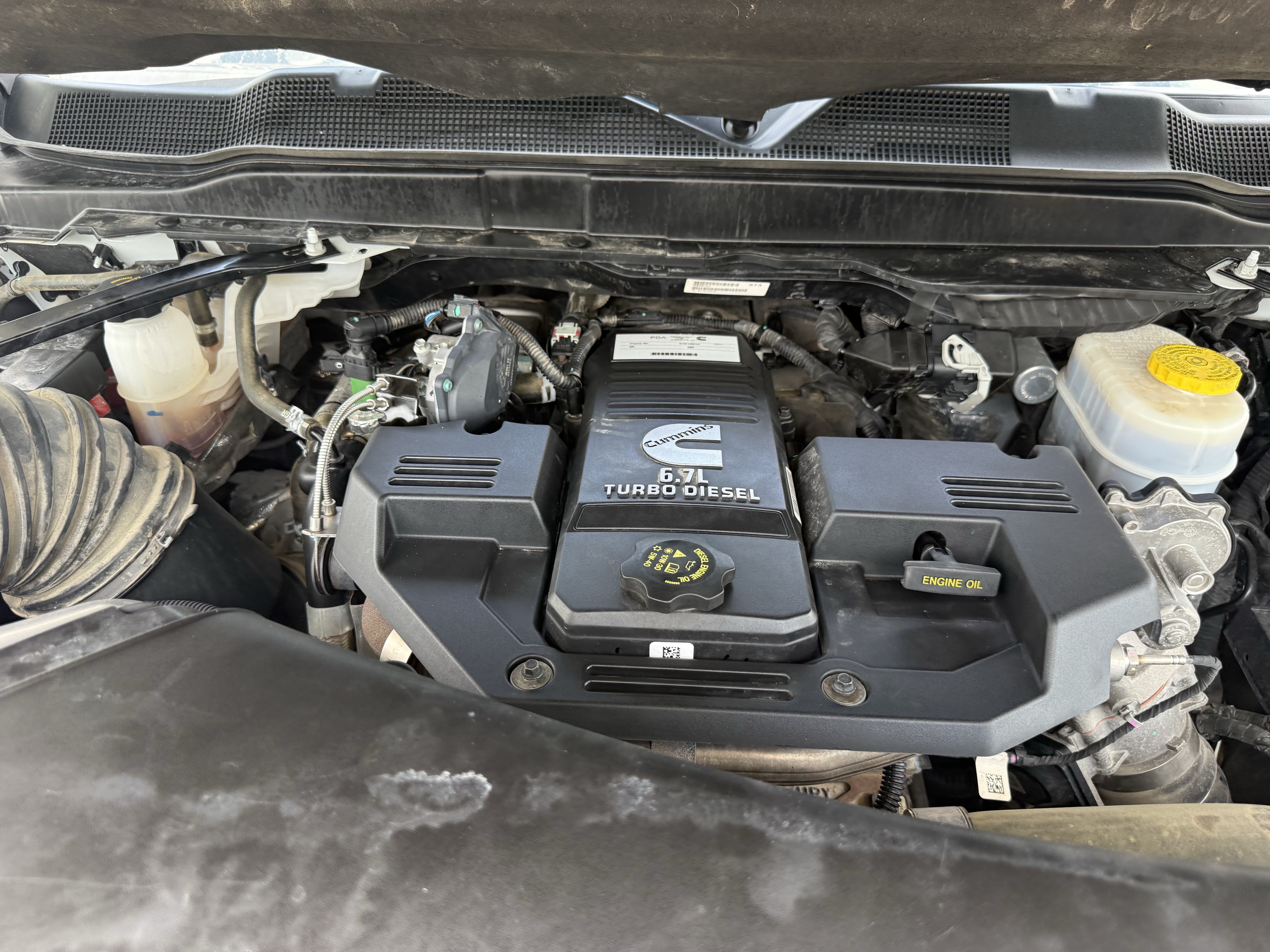 Used 2024 Bright White Clearcoat Ram  image 30