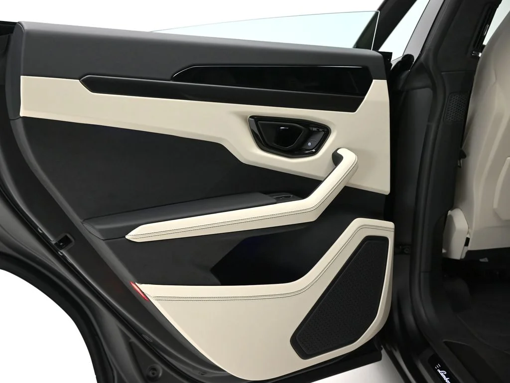 New 2026 Nero Nemesis Matt Lamborghini SE image 28