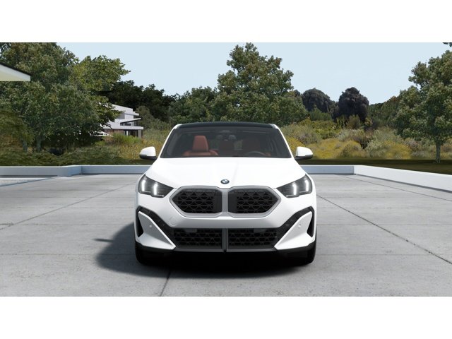 New 2027 Alpine BMW  image 3