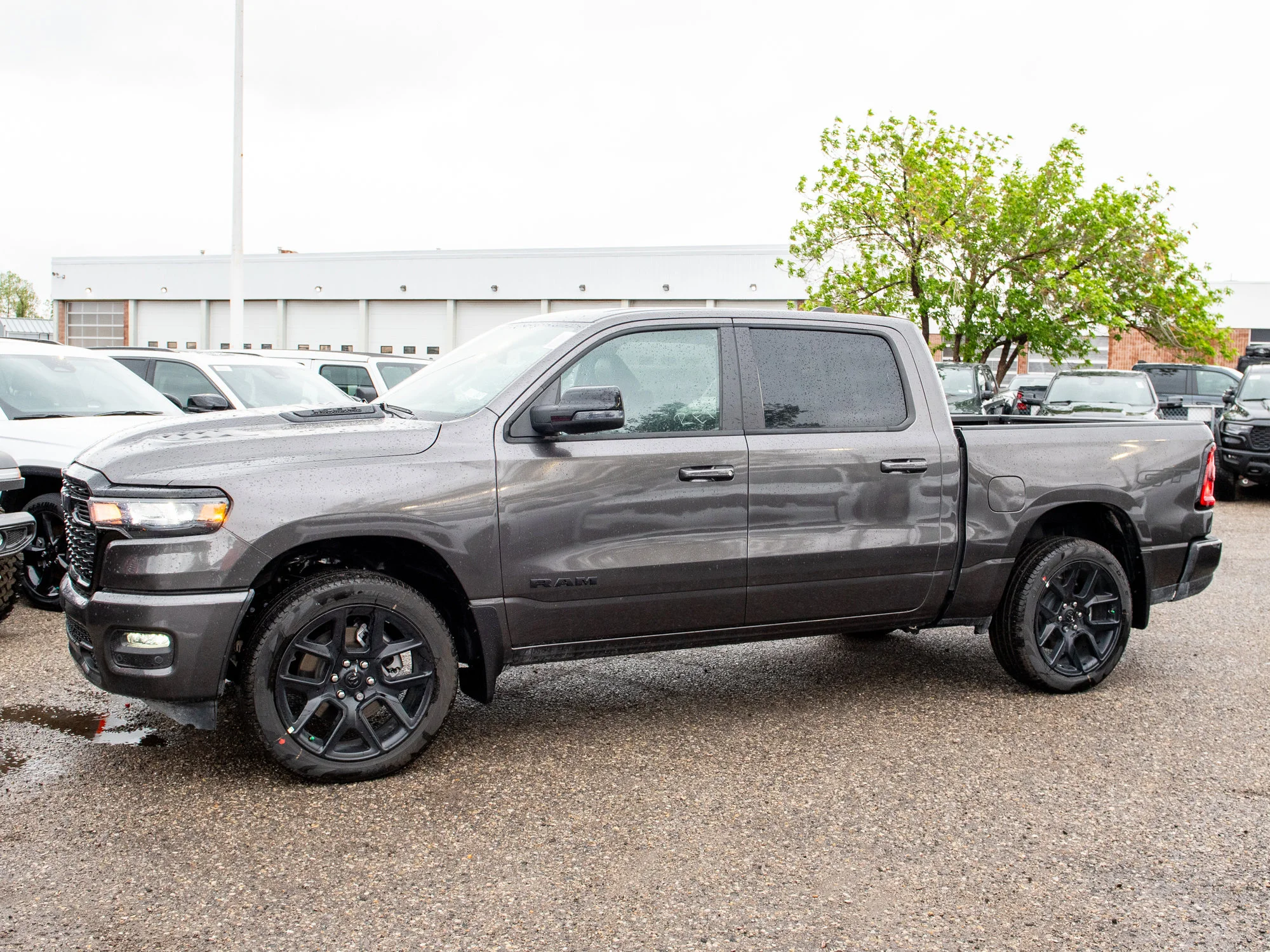 New 2026 Grey RAM Sport* image 2