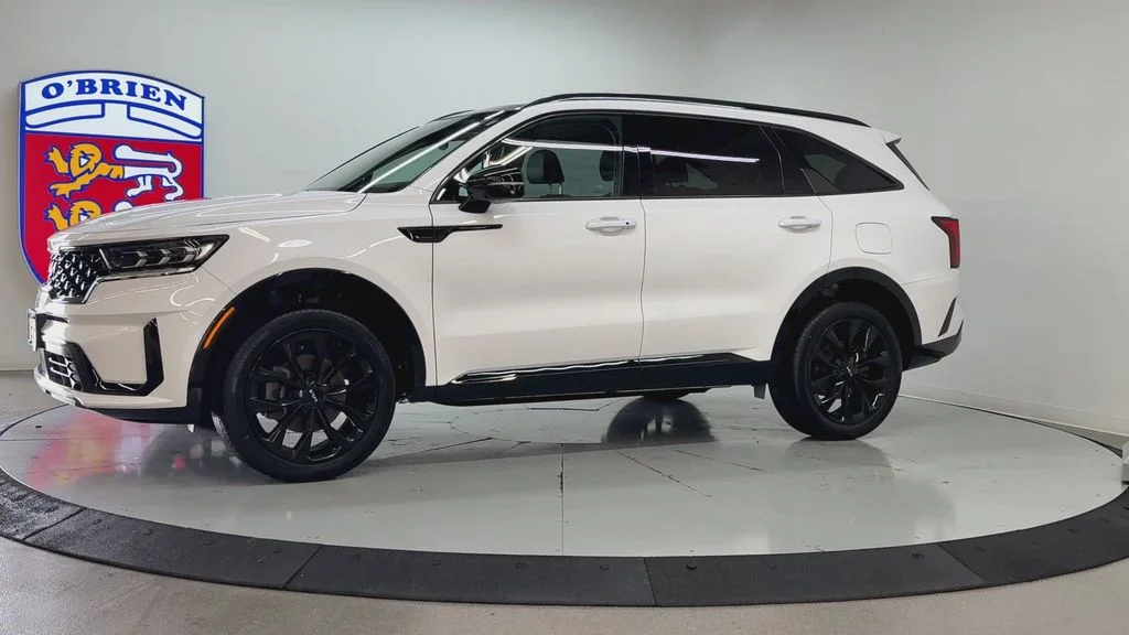 Used 2023 White Pearl Kia SX image 8
