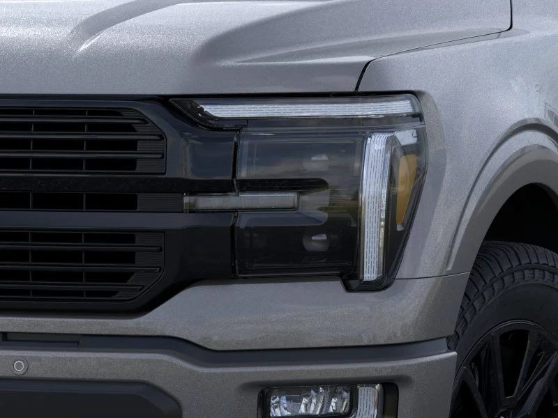 New 2026 Carbonized Gray Metallic Ford Platinum® image 18