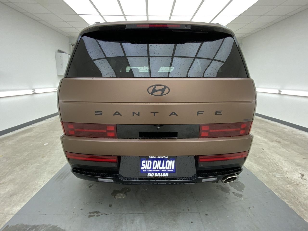 New 2026 Earthy Brass Matte Hyundai Calligraphy AWD image 4