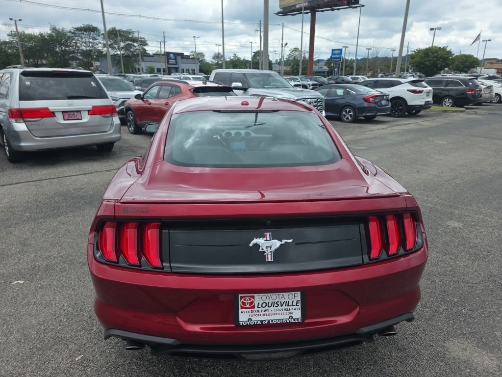 Used 2019 Red Ford EcoBoost Premium image 5