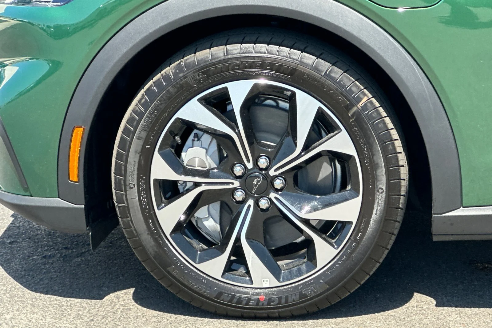 New 2026 Eruption Green Metallic Ford Select image 25