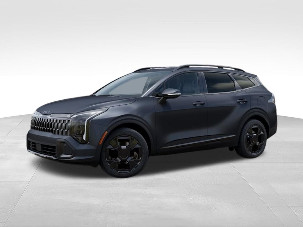 New 2026 Panthera Metal Matte Kia X-Line image 3