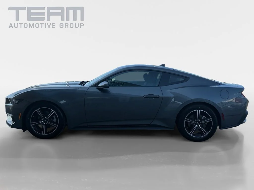 Used 2025 Gray Ford EcoBoost image 4