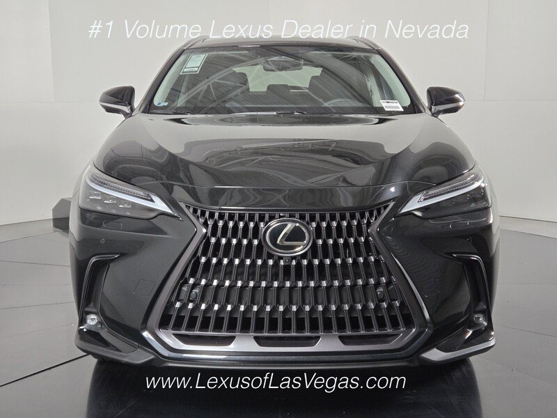 2026 Lexus NX 450h+ Luxury - Photo 8