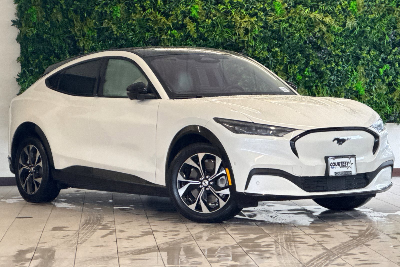 Used 2021 Ford Mustang Mach-E Premium RWD with VIN 3FMTK3RM7MMA27838 for sale in Portland, OR