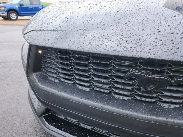 New 2026 Shadow Black Ford EcoBoost® Fastback image 7