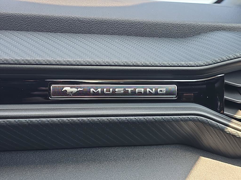 New 2026 Avalanche Gray Ford EcoBoost® Fastback image 28