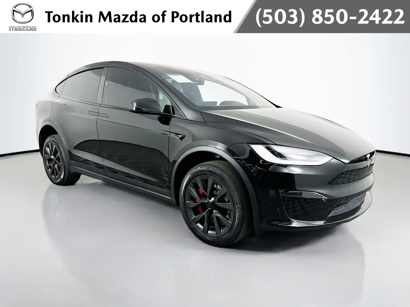 2023 Tesla Model X Plaid's photo
