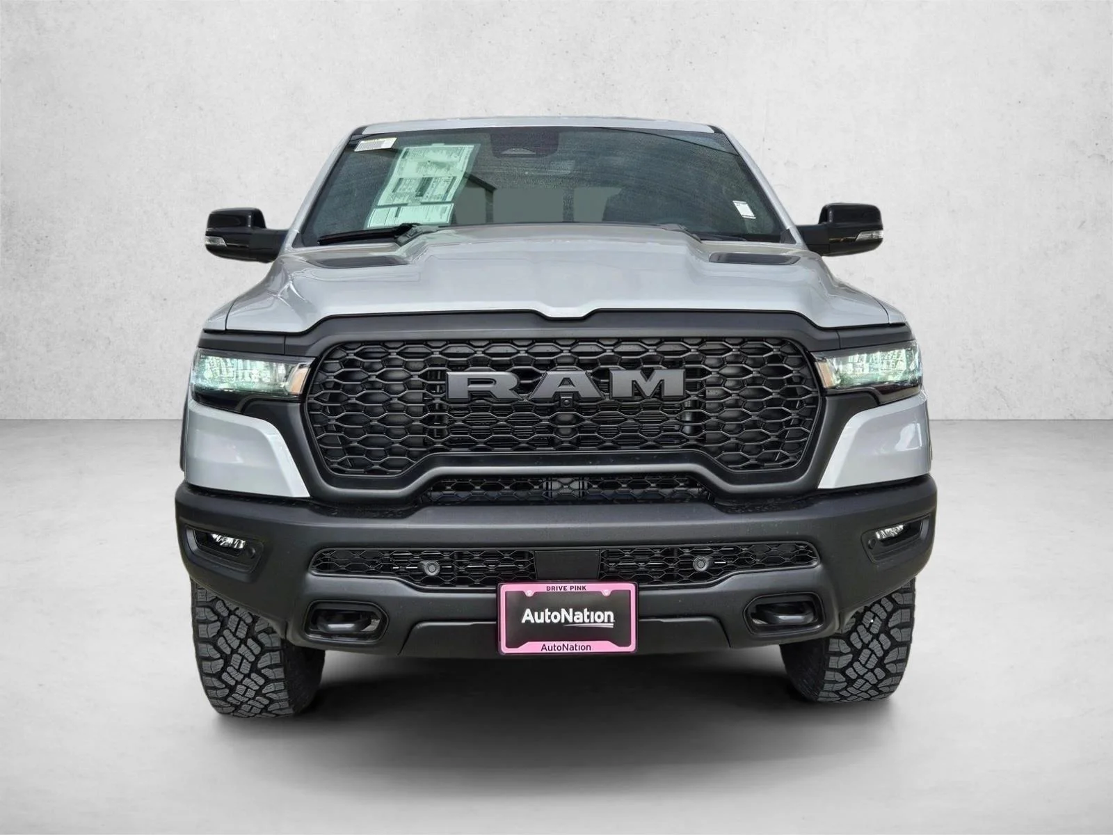 New 2026 Silver Zynith Exterior Paint RAM Rebel image 6