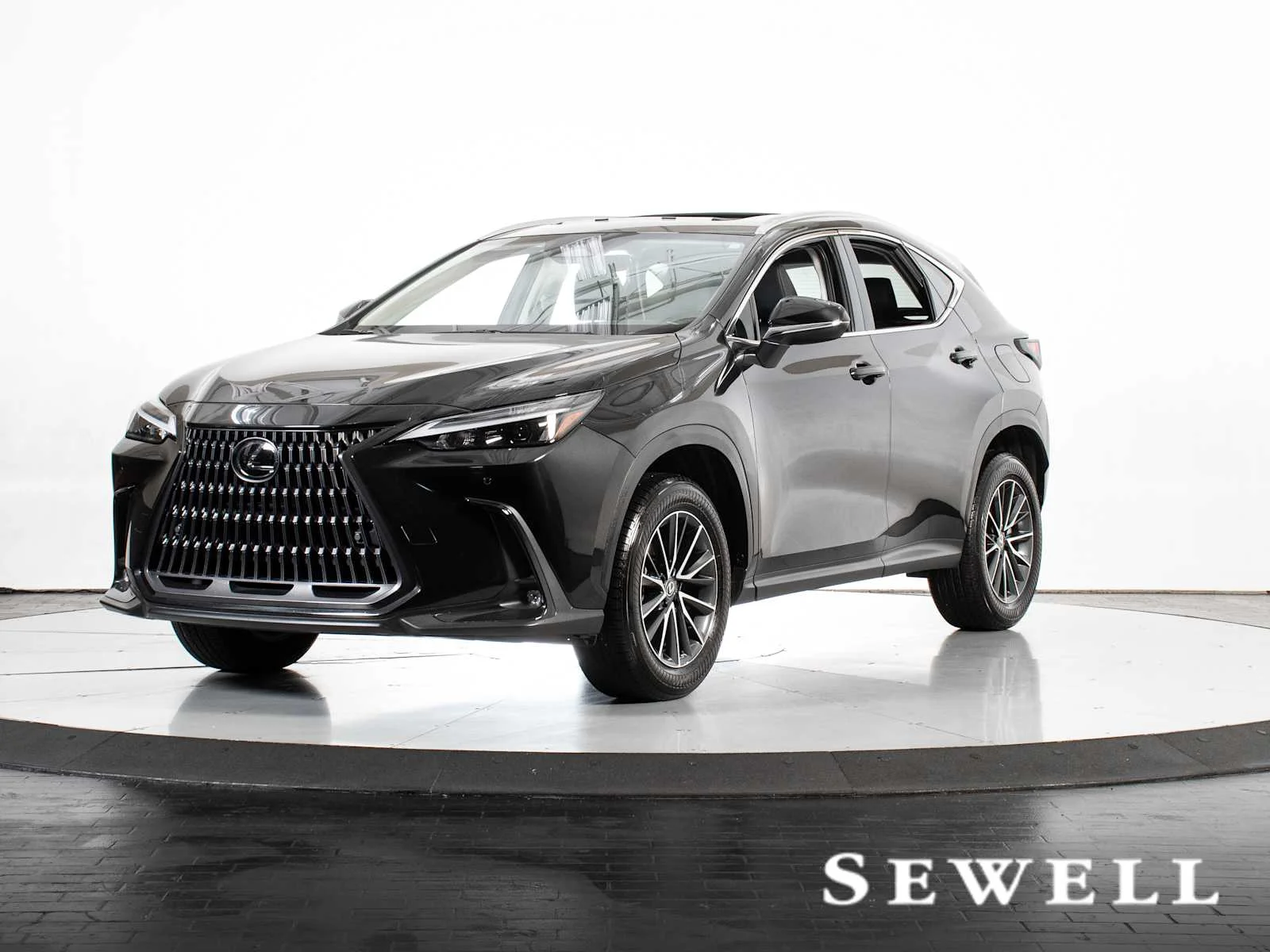 2025 Lexus NX 250 Premium