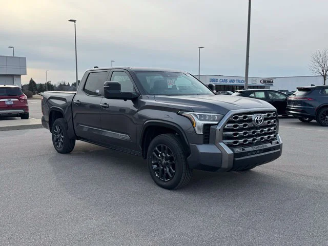 New 2026 Magnetic Gray Metallic Toyota  Platinum image 3