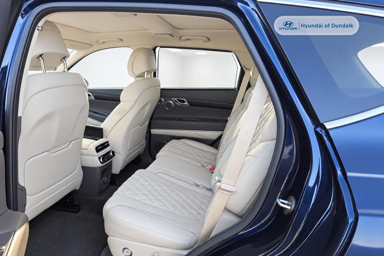 Used 2024 Blue Genesis 3.5T image 9
