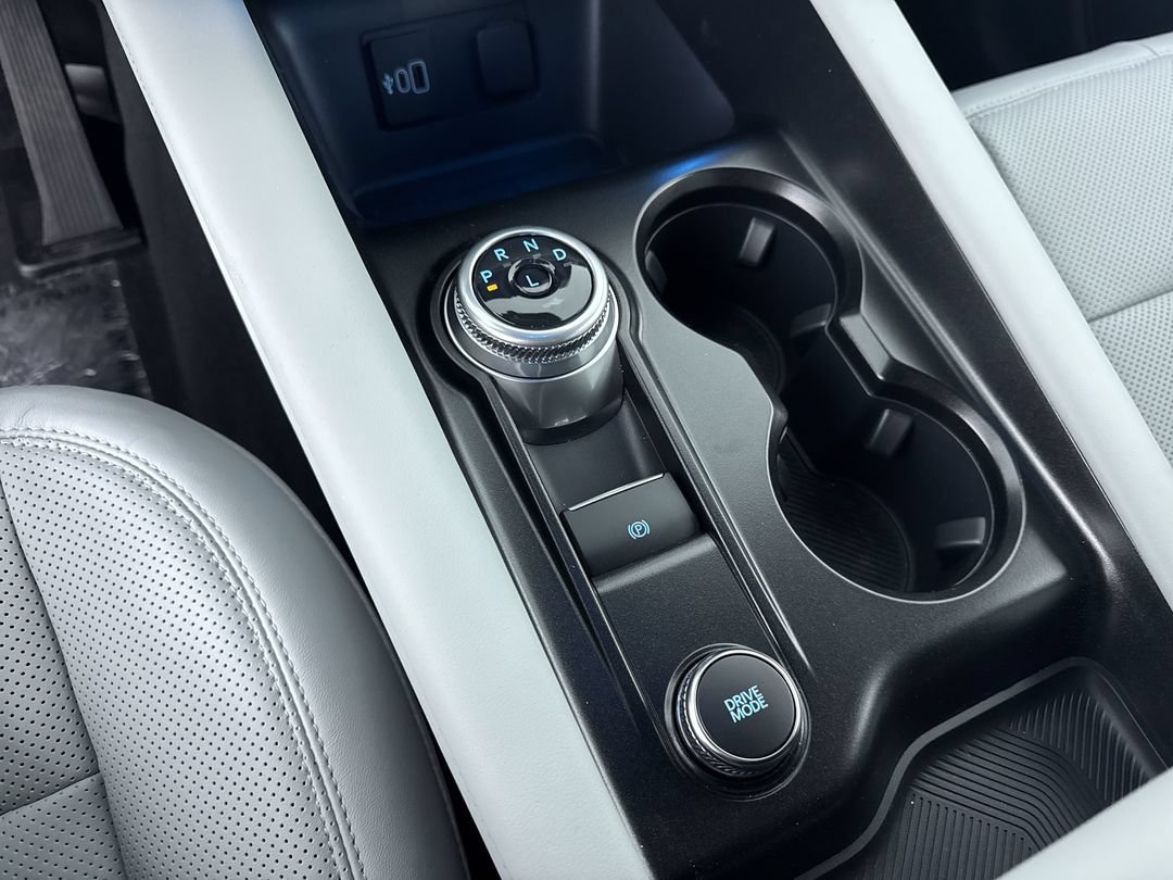 New 2027 Avalanche Gray Ford Platinum image 22