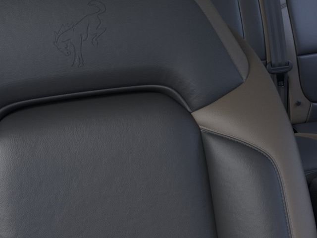 New 2025 Ruby Red Metallic Tinted Clearcoat Ford Big Bend® image 18