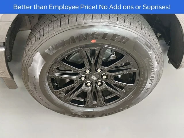 New 2026 Carbonized Gray Metallic Ford Platinum® image 33