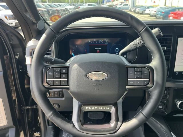 New 2026 Agate Black Metallic Ford Platinum image 14