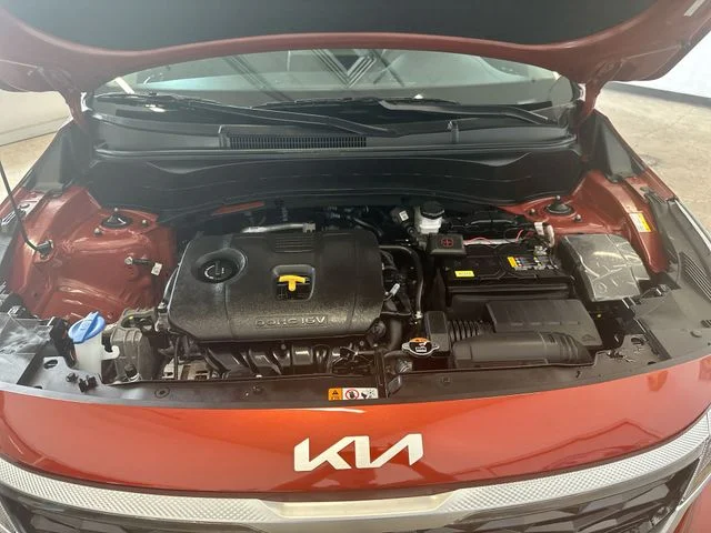 Used 2023 Orange Kia S image 19