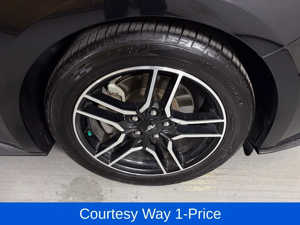 Used 2021 Black Ford EcoBoost image 13