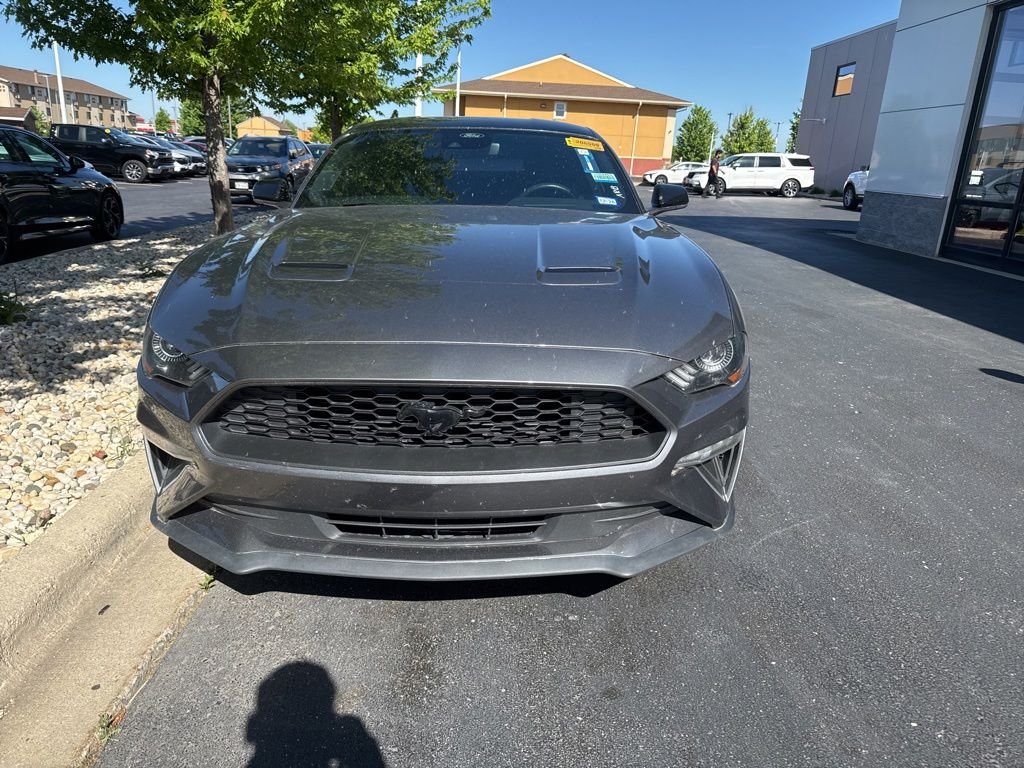 2021 Ford Mustang EcoBoost Fastback's photo