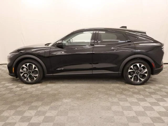 New 2026 Shadow Black Ford Select image 22